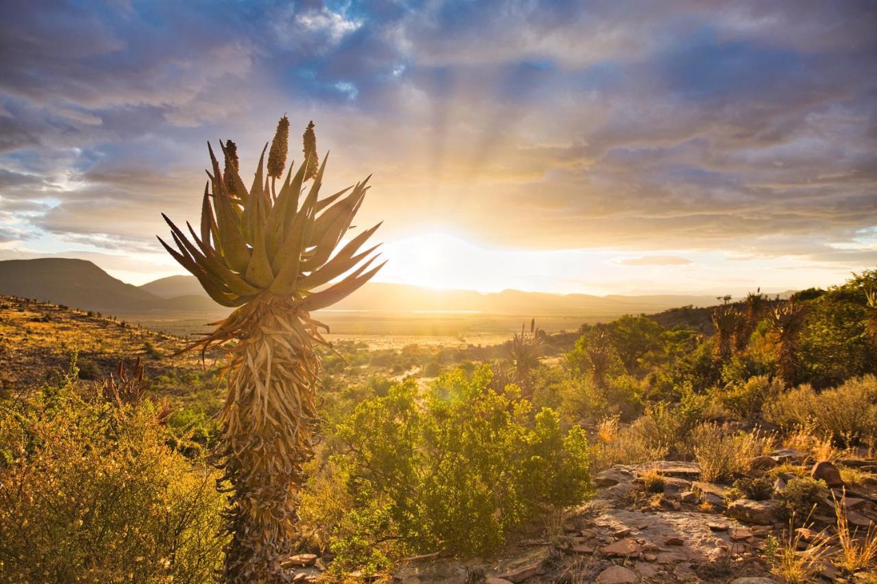 Sunbird Cottage Graaff-Reinet Eksteriør billede